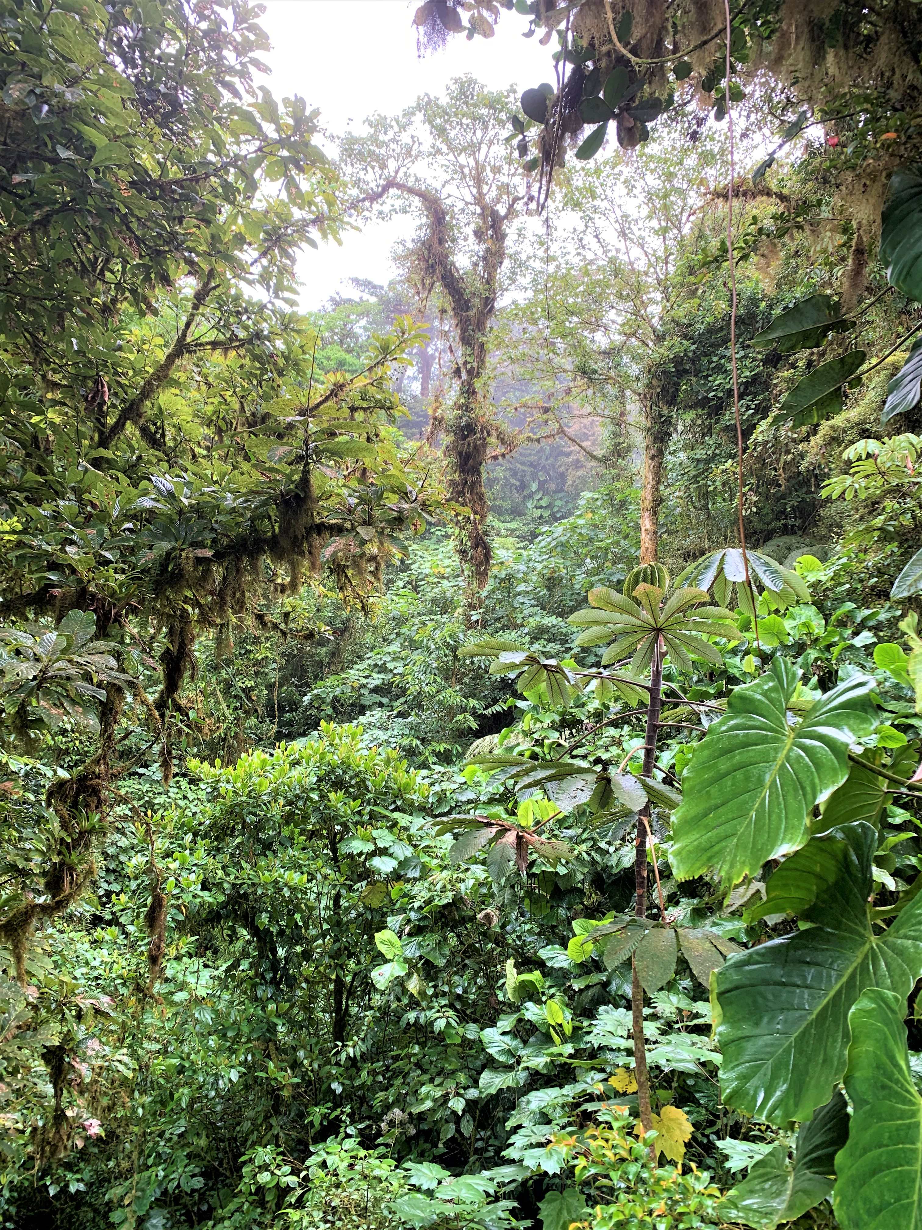 Costa Rica